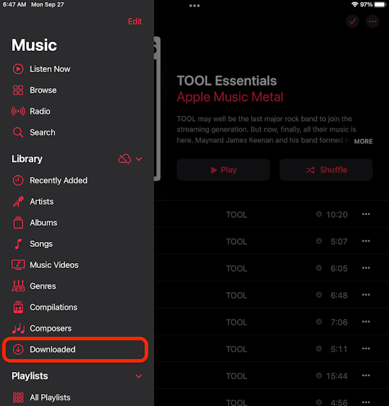 iPad show all music setting